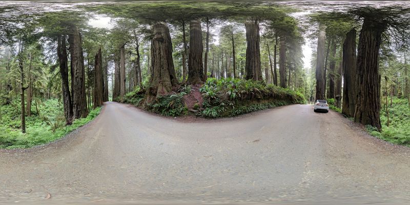 Hiking Trails That Branch Off Into the Wild