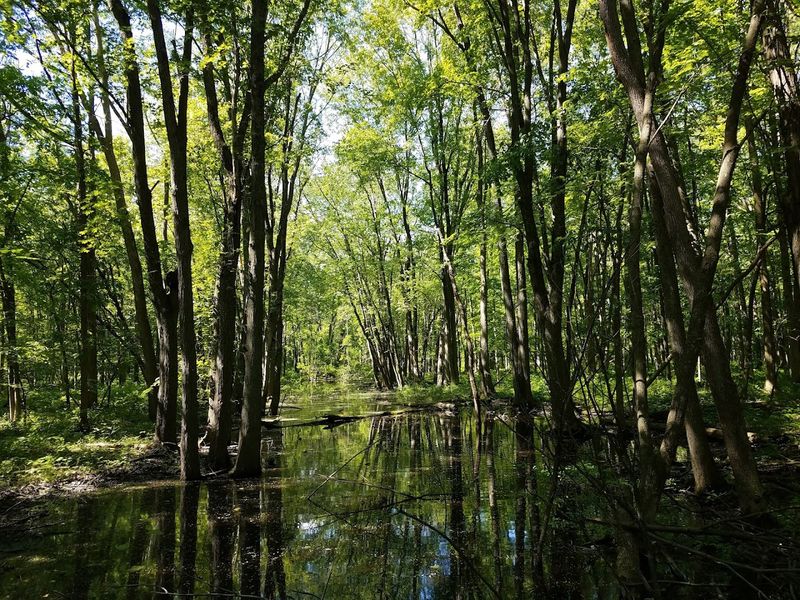 Hiking Trails That Connect You With Nature Up Close