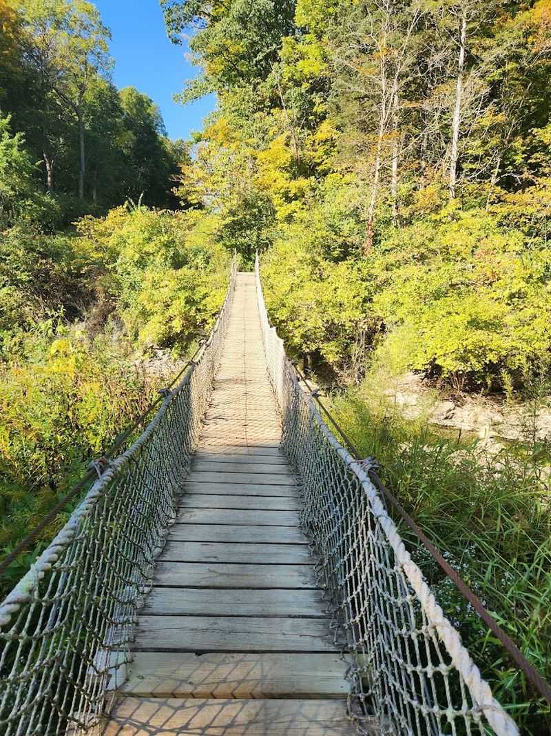 Hiking Trails That Cover Every Skill Level Hiking Trails That Cover Every Skill Level