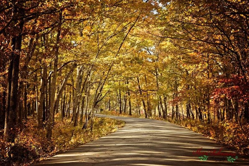 Hiking Trails That Cover Every Skill Level