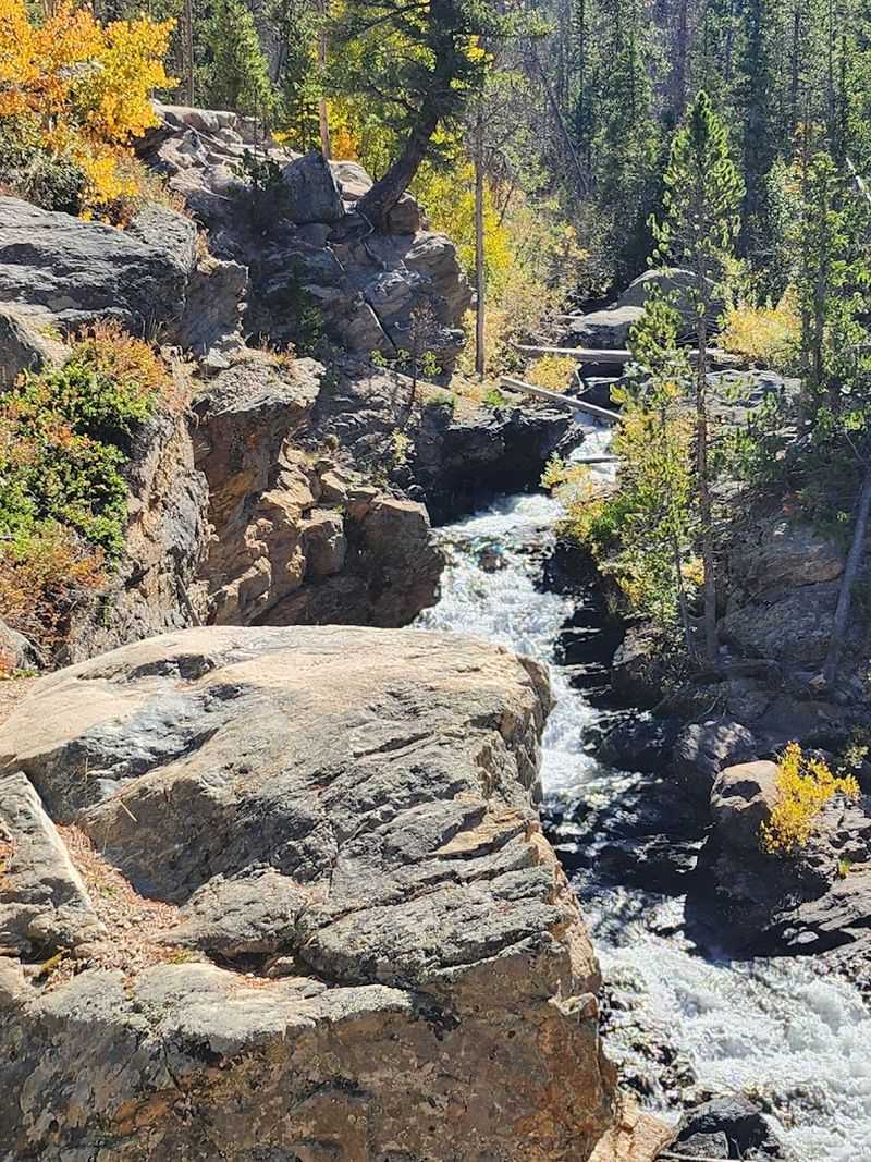 Hiking Trails That Make You Feel Alive Hiking Trails That Make You Feel Alive