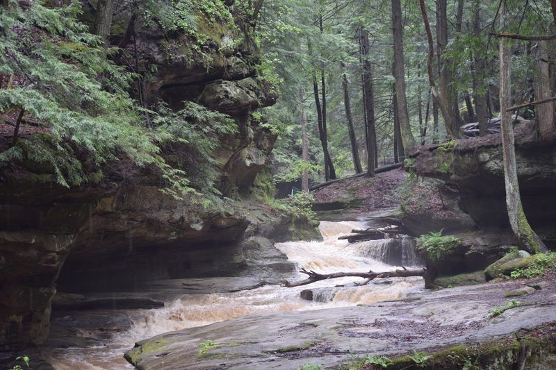 Hiking Trails That Offer a Real Workout