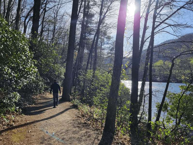 Hiking Trails That Range From Easy to Epic Hiking Trails That Range From Easy to Epic