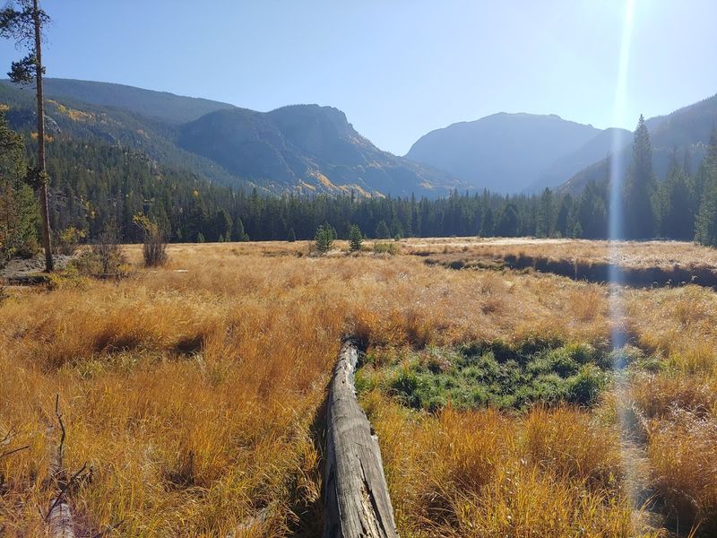 Hiking Trails That Range From Lazy Strolls to Epic Climbs