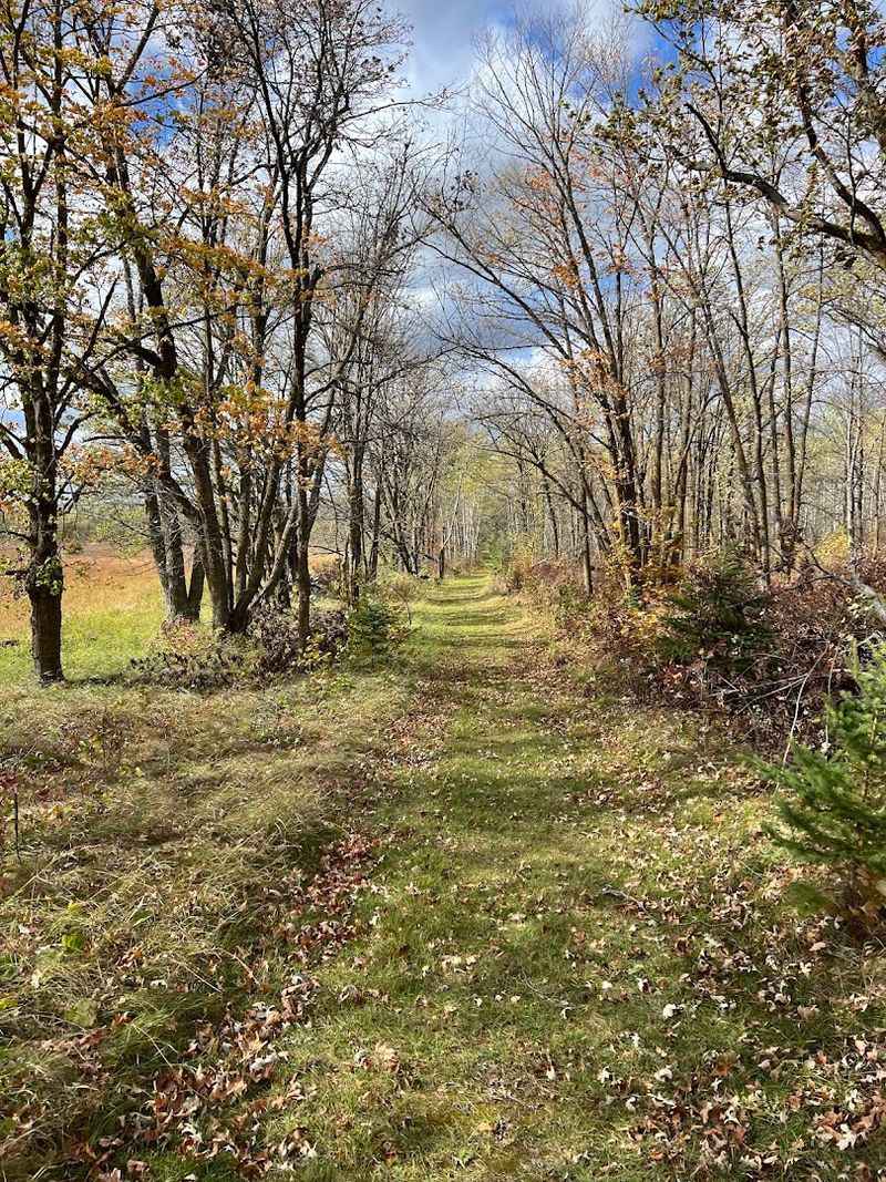 Hiking Trails That Range From Leisurely Strolls to Wild Adventures Hiking Trails That Range From Leisurely Strolls to Wild Adventures