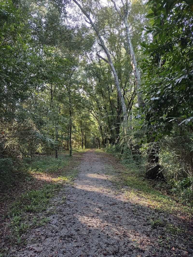 Hiking Trails That Reward Every Step