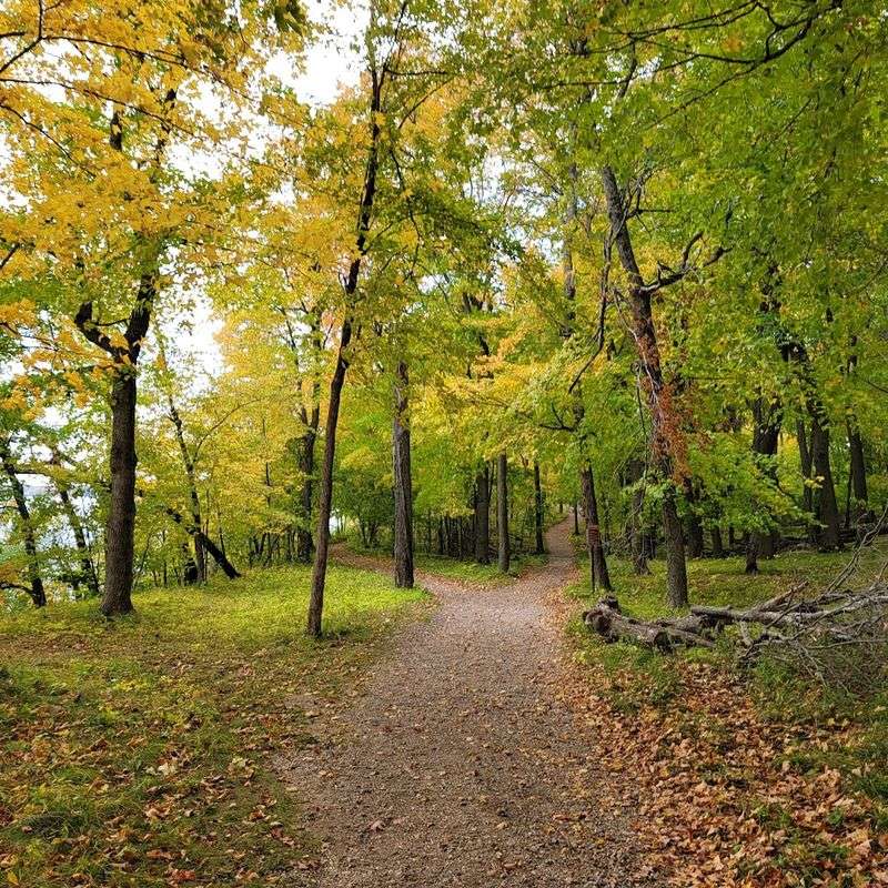 Hiking Trails That Reward Every Step