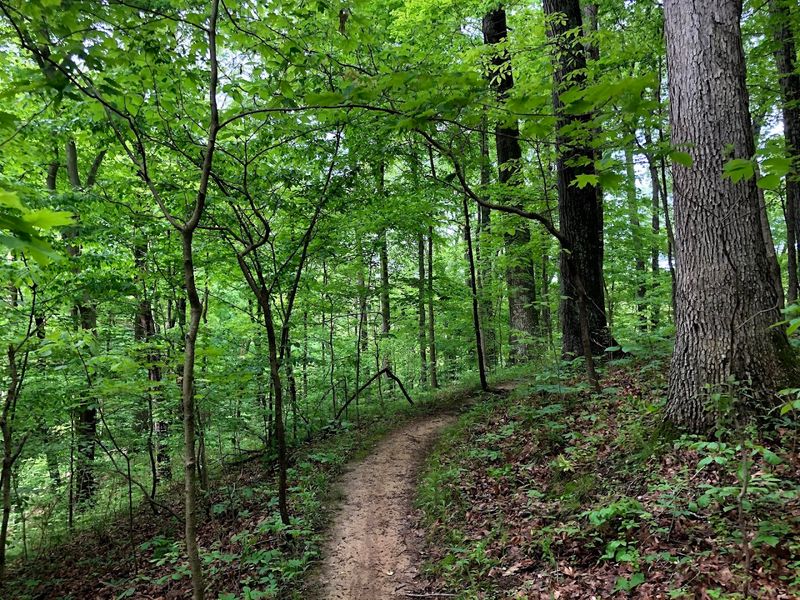 Hiking Trails That Will Blow Your Mind Hiking Trails That Will Blow Your Mind
