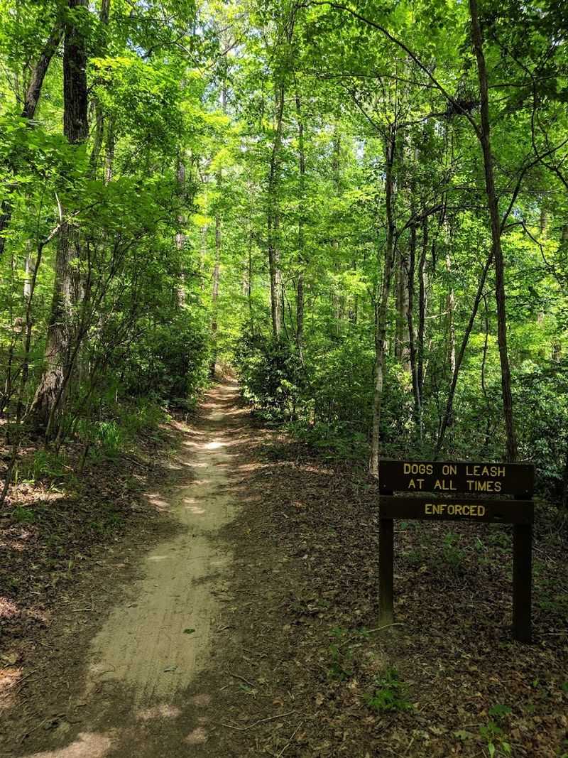 Hiking Trails That Wind Through Beautiful Alabama Wilderness Hiking Trails That Wind Through Beautiful Alabama Wilderness