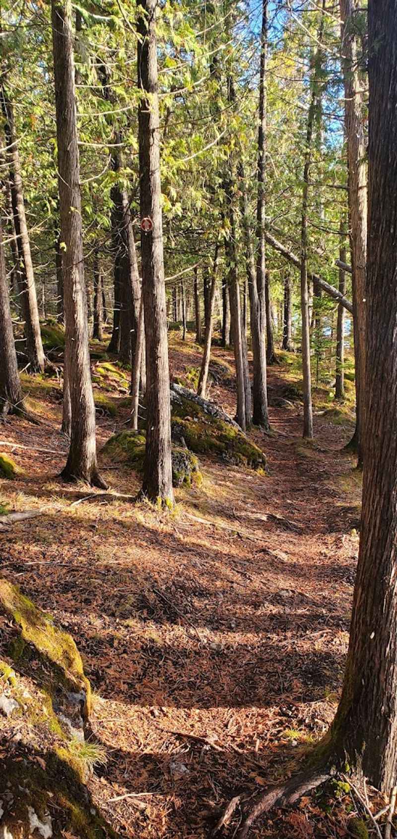 Hiking Trails That Wind Through Michigan's Wild Beauty Hiking Trails That Wind Through Michigan's Wild Beauty