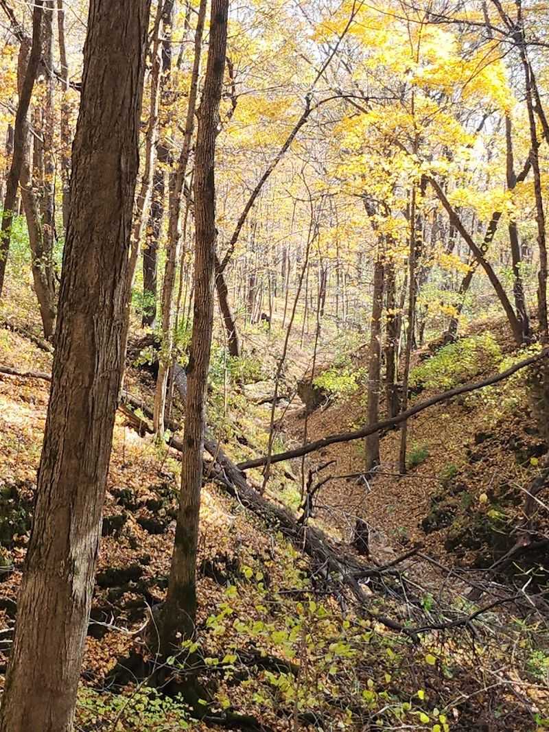 Hiking Trails That Wind Through Stunning Scenery