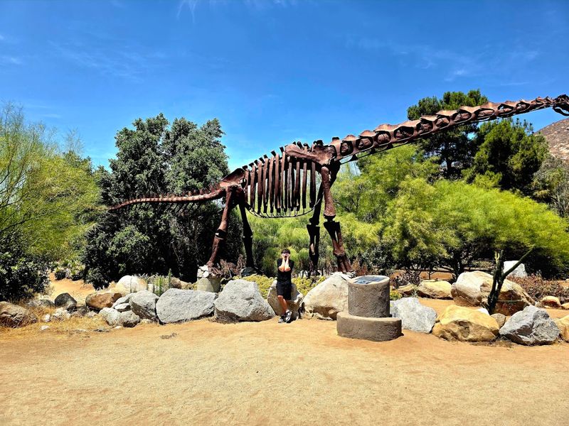 Hiking Trails Through Desert Landscape Hiking Trails Through Desert Landscape