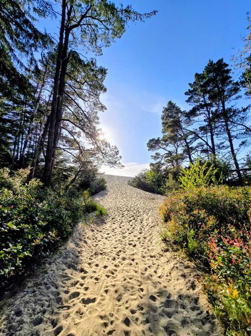 Hiking Trails Through Forest and Dunes Hiking Trails Through Forest and Dunes