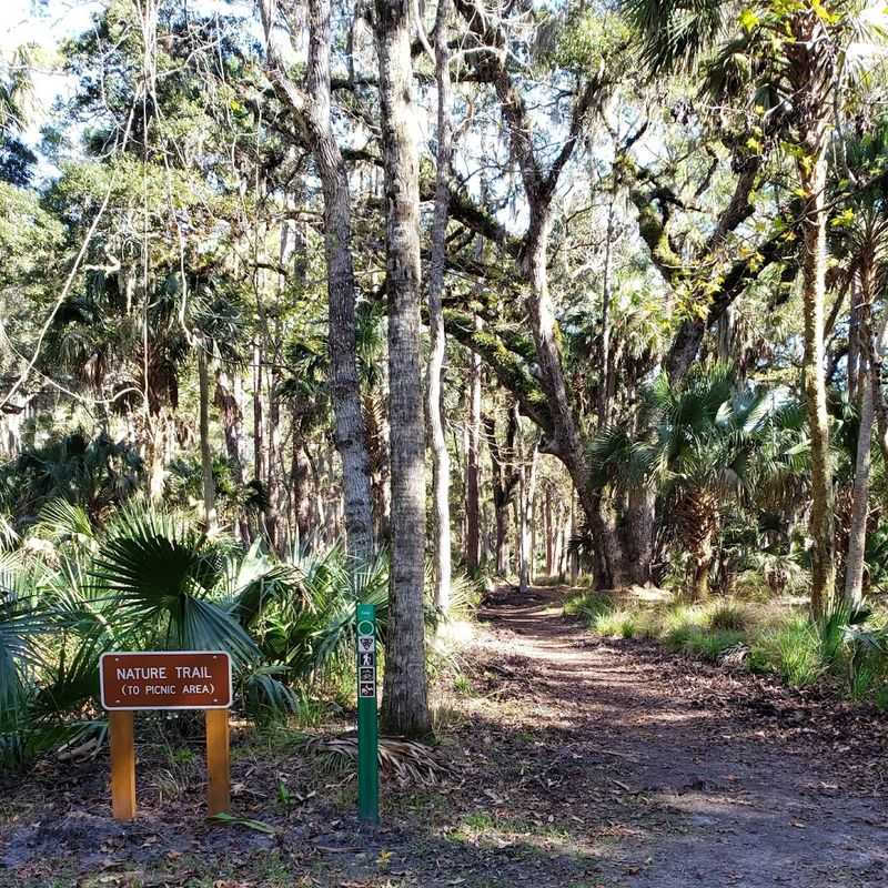 Hiking Trails Through the Coastal Hammock Hiking Trails Through the Coastal Hammock
