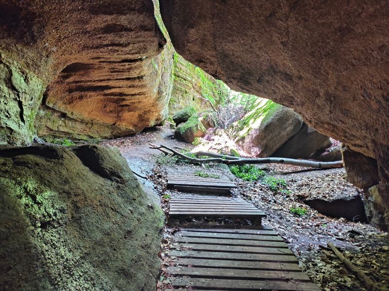 Hiking Trails Winding Through Mystical Forest