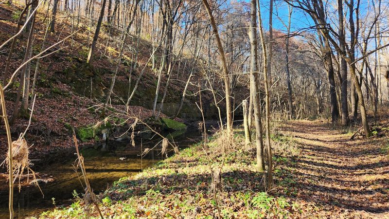 Hiking Trails Worth Every Step