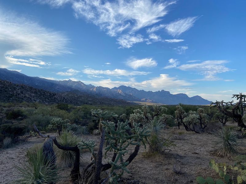 Hiking Trails and Outdoor Adventures in the Sonoran Desert Hiking Trails and Outdoor Adventures in the Sonoran Desert