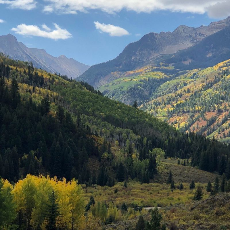 Hiking Trails for Every Skill Level