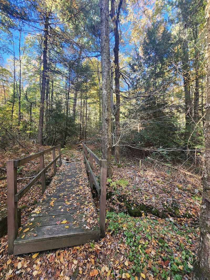 Hiking Trails for Every Skill Level