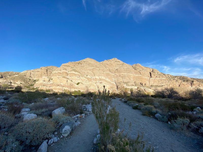 Hiking Trails for Every Skill Level