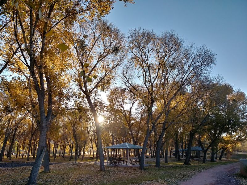 Hiking Trails for Every Skill Level