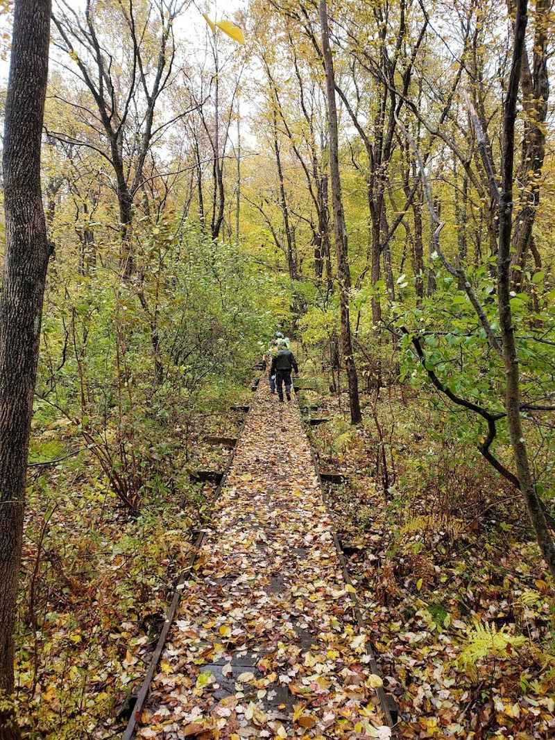 Hiking Trails for Every Skill Level Hiking Trails for Every Skill Level