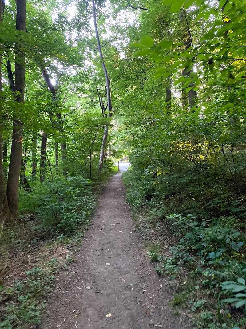 Hiking Trails for Every Skill Level Hiking Trails for Every Skill Level