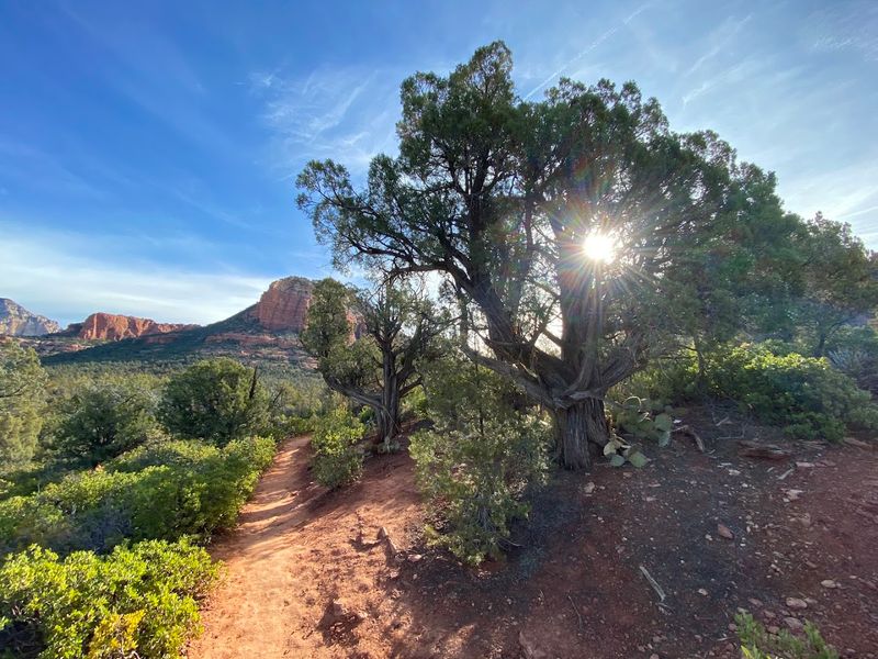 Hiking With Kids: Why Families Keep Coming Back to This Trail Hiking With Kids: Why Families Keep Coming Back to This Trail