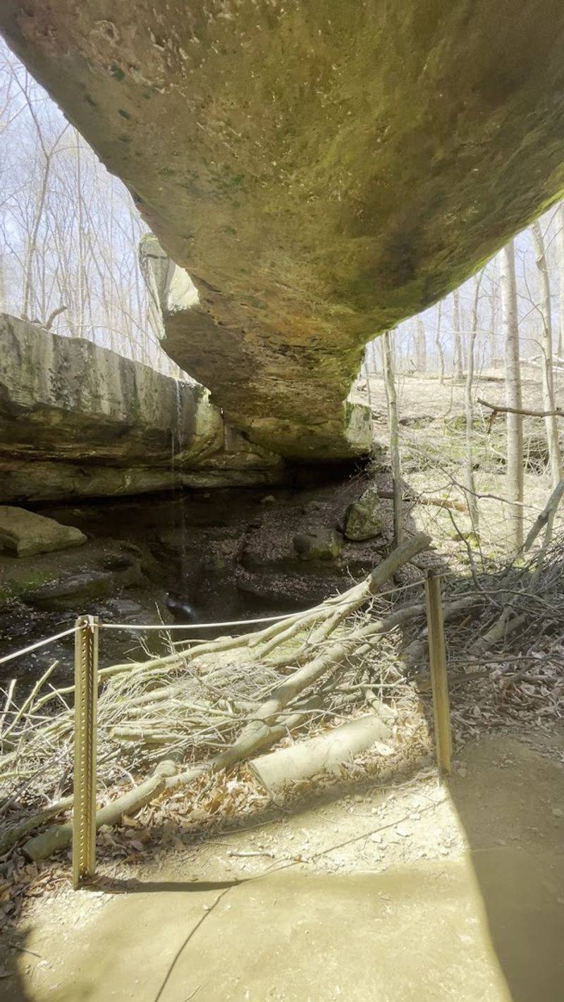 Hiking With Kids at Rockbridge