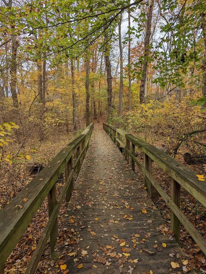 Hiking the Blue Trail