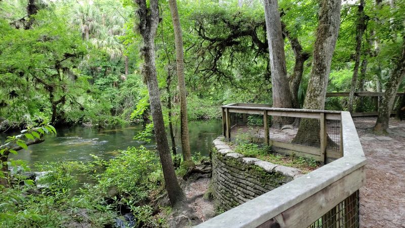 Hillsborough River State Park - Thonotosassa