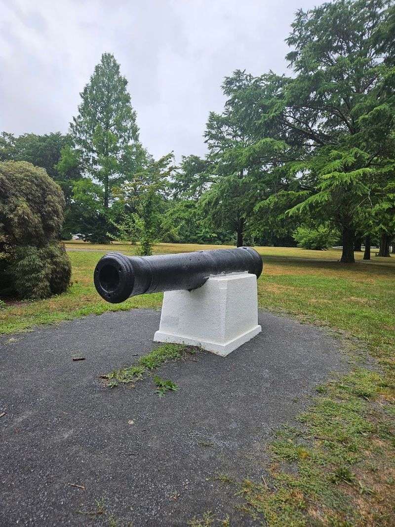 Historical Cannons That Add a Surprising Story