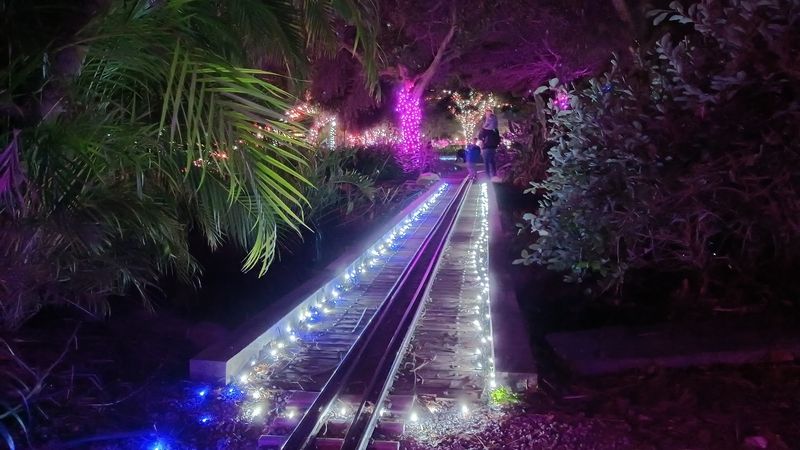 Holiday Events That Turn the Park Into Something Magical