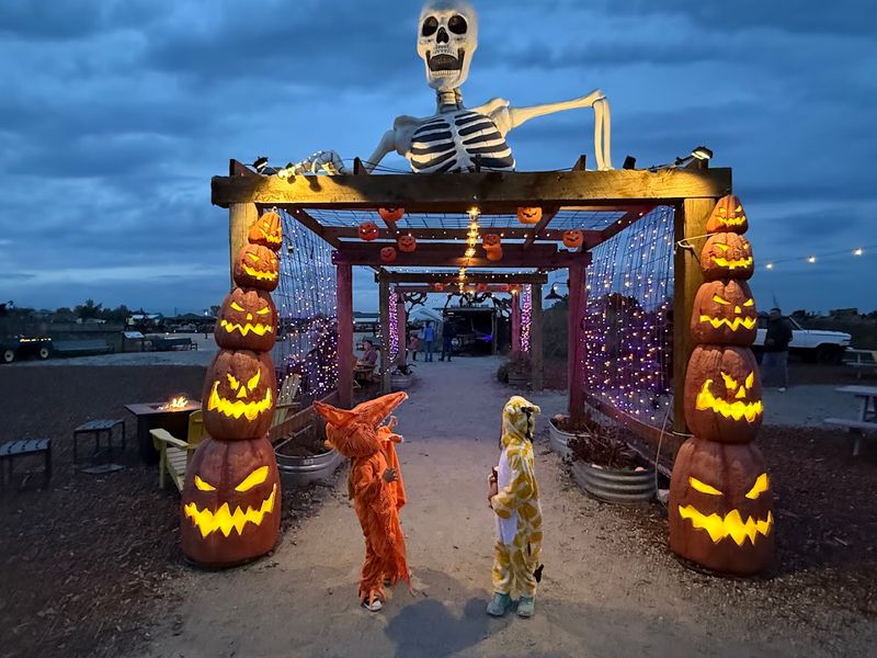 Holiday and Themed Rides