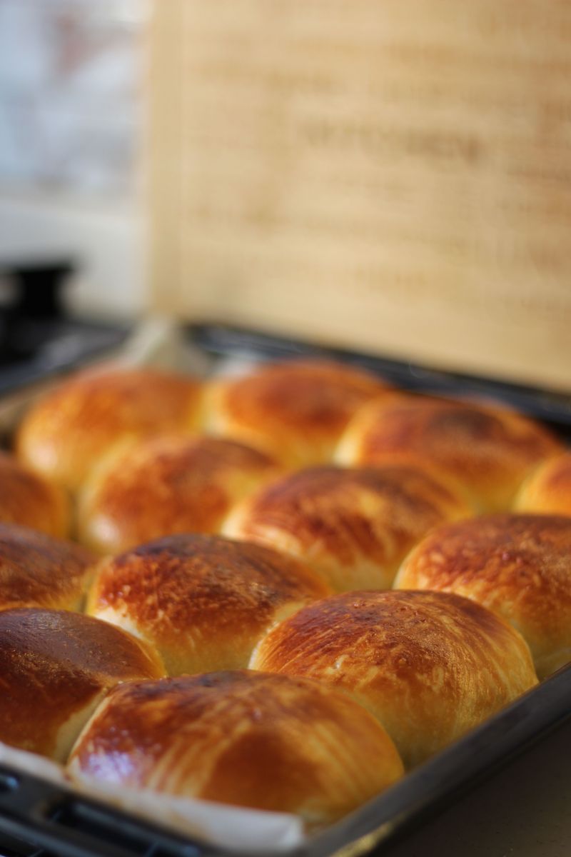 Homemade dinner rolls Homemade dinner rolls
