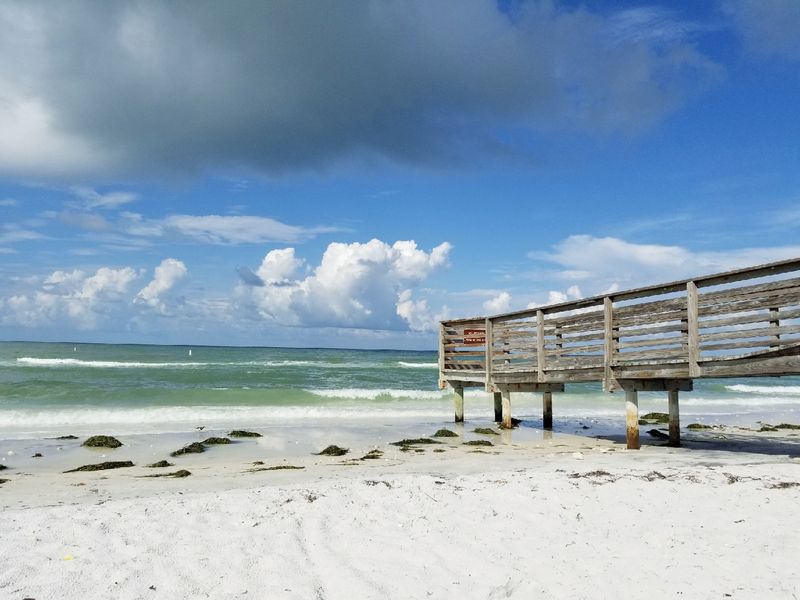 Honeymoon Island State Park - Dunedin, Florida