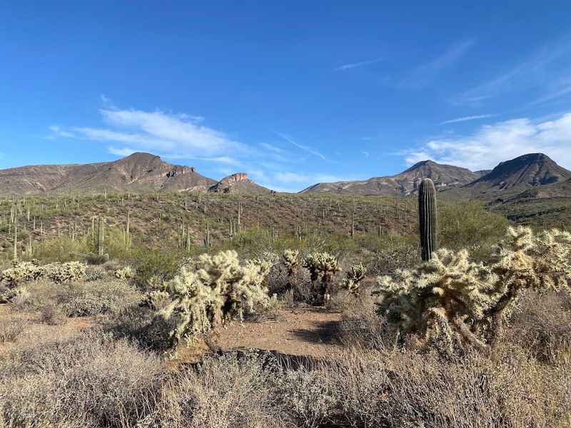 Horse-Friendly Trails for Equestrian Adventures