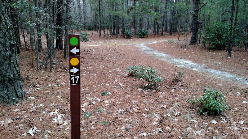 Horse and Bike Trails Through the Forest