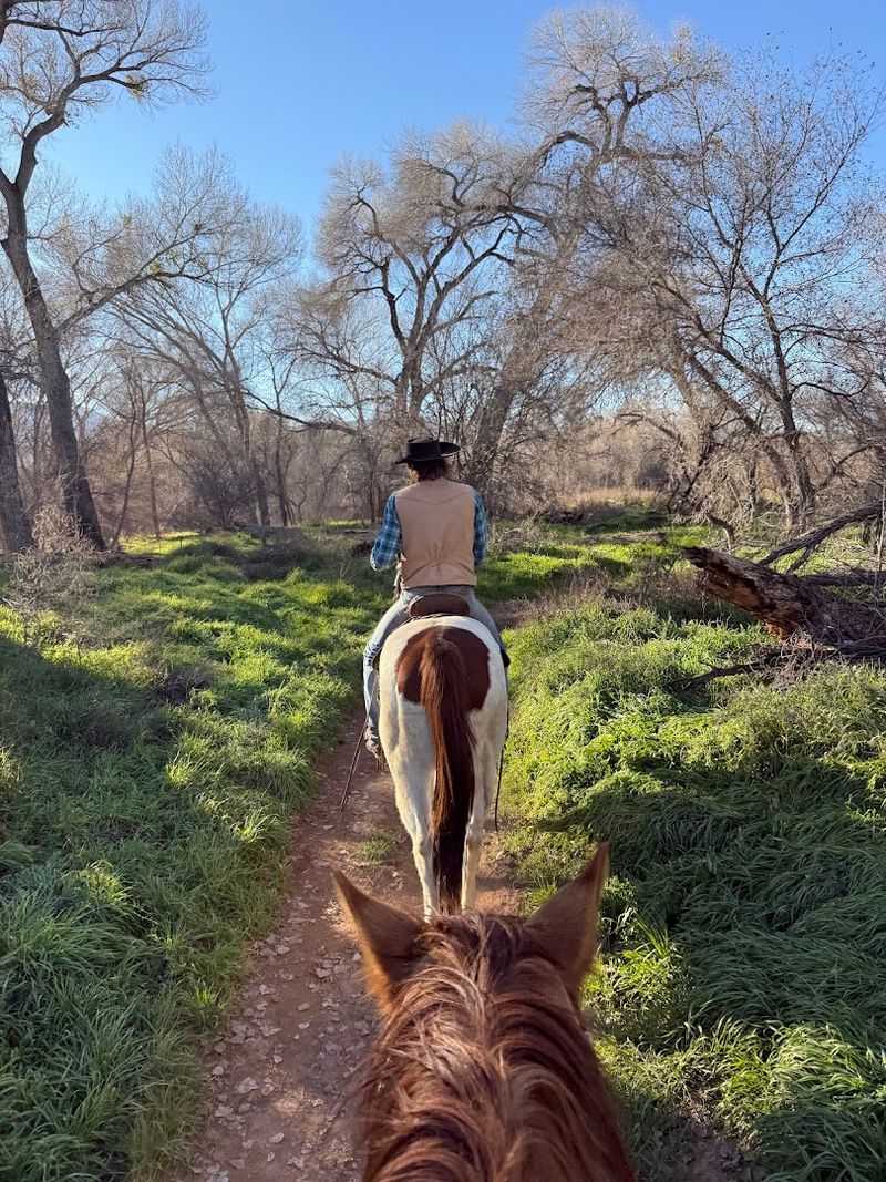 Horseback Riding Adventures
