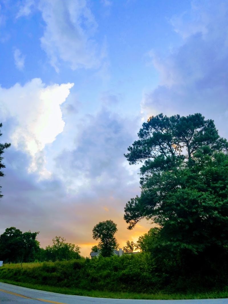 Horseback Riding Through Scenic Countryside and Forest Trails