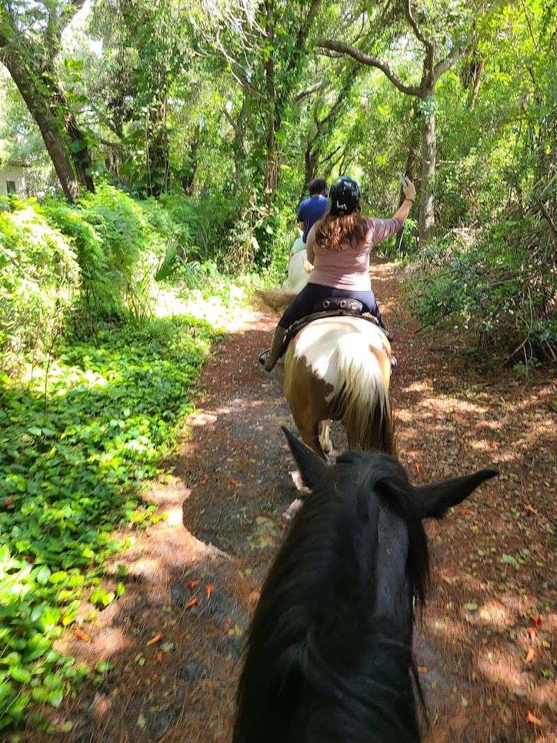 Horseback Riding Tours and Adventures Cypress Breeze Farm - Pinellas Park, Florida Horseback Riding Tours and Adventures Cypress Breeze Farm - Pinellas Park, Florida