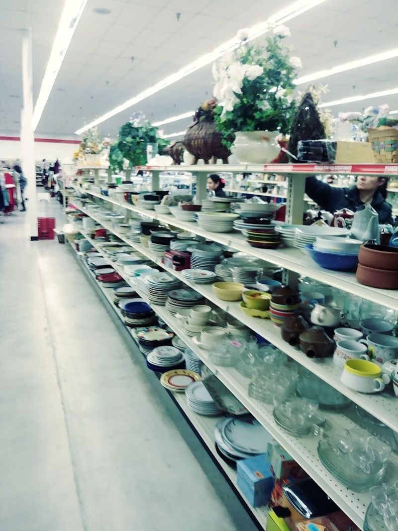 Household Goods and Home Decor Hiding in Plain Sight Household Goods and Home Decor Hiding in Plain Sight