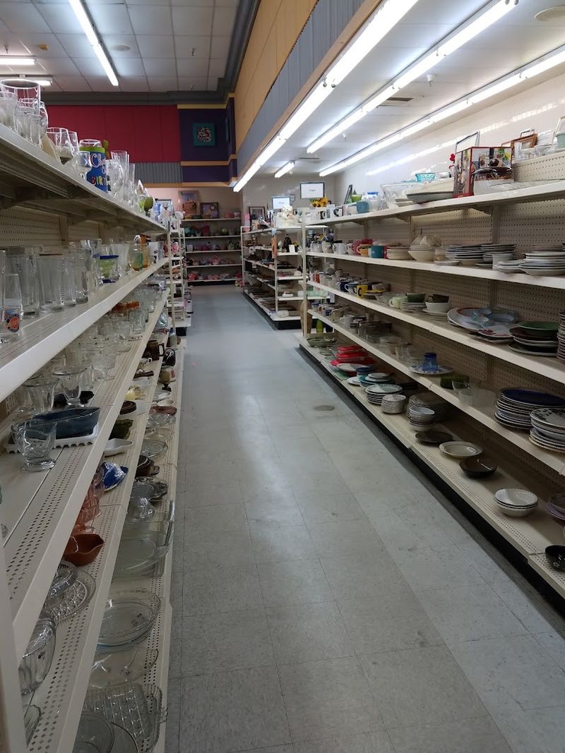 Household Items and Appliances Worth the Hunt Household Items and Appliances Worth the Hunt