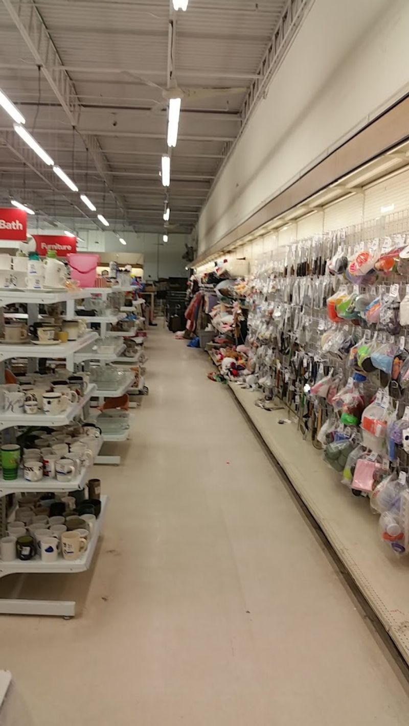 Housewares and Home Goods Hidden Throughout the Store Housewares and Home Goods Hidden Throughout the Store