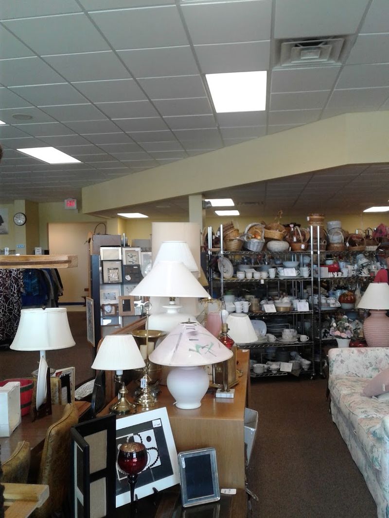 Housewares and Kitchen Items Stocked for Every Style