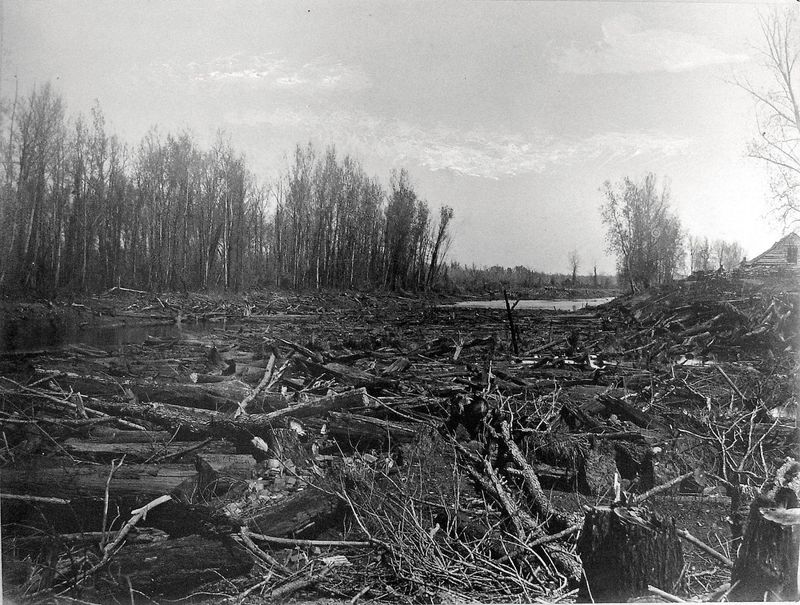 How Caddo Lake Got Its Water: The Great Raft Story