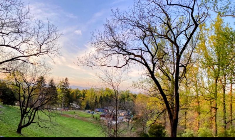 How Carter Overlook Compares to Other Virginia Viewpoints How Carter Overlook Compares to Other Virginia Viewpoints