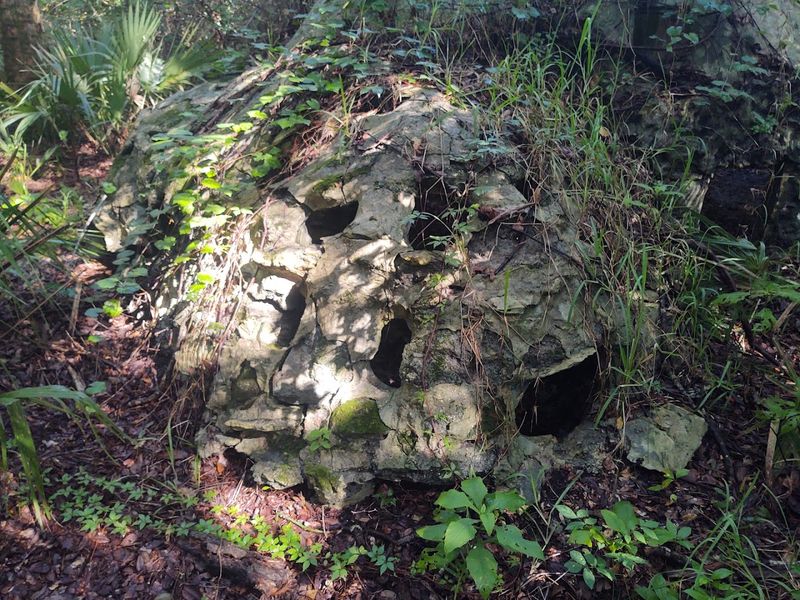 How Explorers First Discovered the Site How Explorers First Discovered the Site