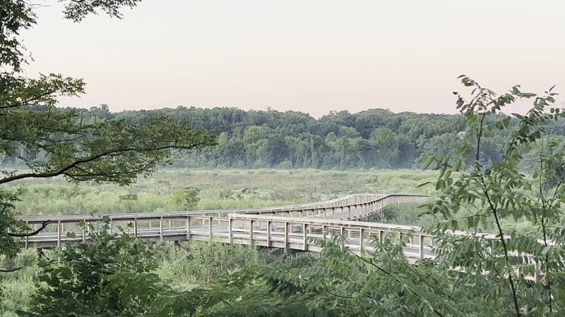 How Neabsco Creek Compares to Other Virginia Trails