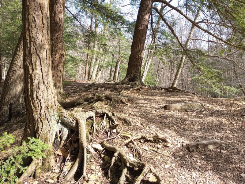 How Wintergreen Gorge Stacks Up Against Other PA Natural Wonders